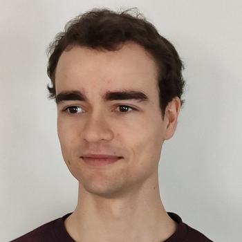 Bijles wiskunde, Nederlands of statistiek met Maarten