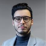 Bijles thesis-scriptiebegeleiding, statistiek of groepsles statistiek met Brahim